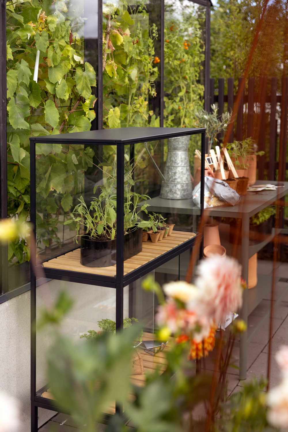 Grower Greens Växtskåp Svart