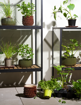 Grower Greens Växtskåp Svart